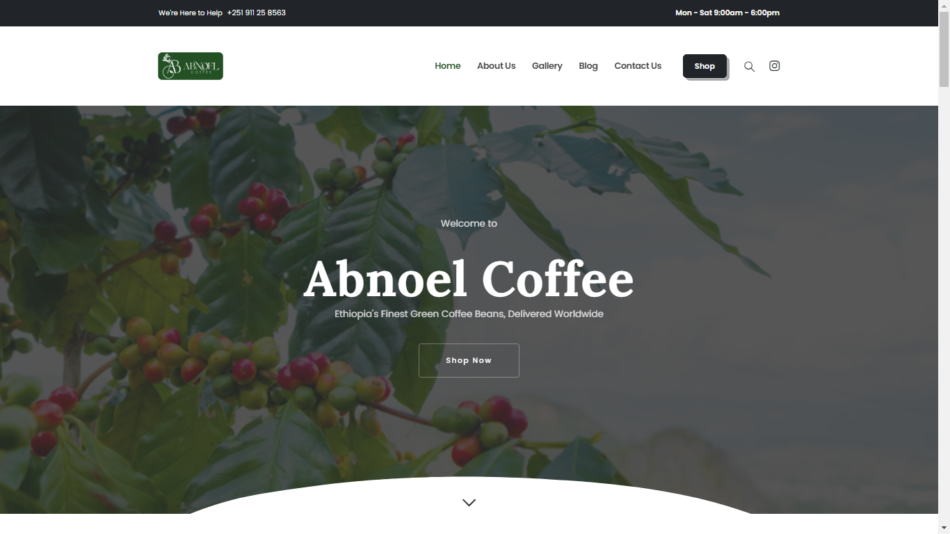Website for Abnoel Coffee